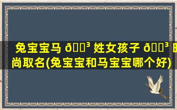 兔宝宝马 🌳 姓女孩子 🌳 时尚取名(兔宝宝和马宝宝哪个好)